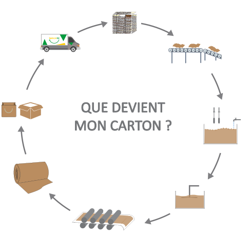Cycle du recyclage du carton