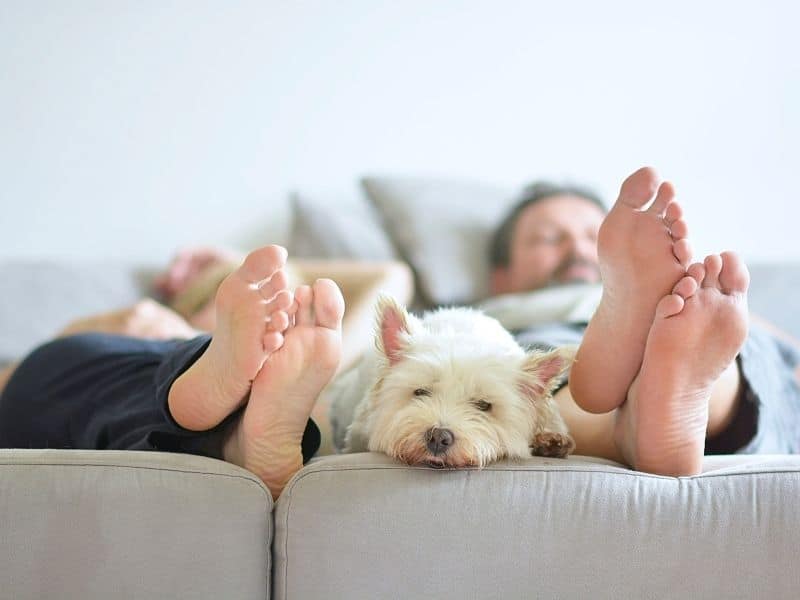 Enterprise d'isolation