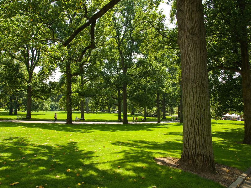 Entretien parc et jardin à Namur